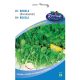 Rédei vetőmag - Borsmustár (ruccola) 4g